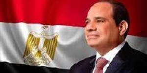 الرئيس السيسي: مصر خسرت 7 مليارات دولار بسبب تراجع إيرادات قناة السويس.. ولابد من دعم الاتحاد الأوروبي للقاهرة