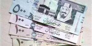 تطور جديد في سعر الريال السعودي أمام الجنيه اليوم