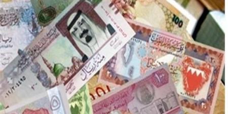 أسعار العملات العربية والأجنبية في مصر اليوم الأحد 15-12-2024