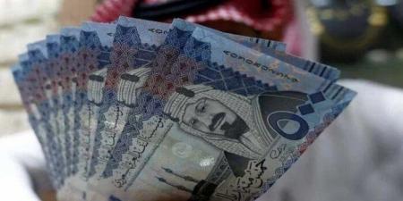 سعر الريال السعودي في مصر اليوم.. الأحد 15-12-2024