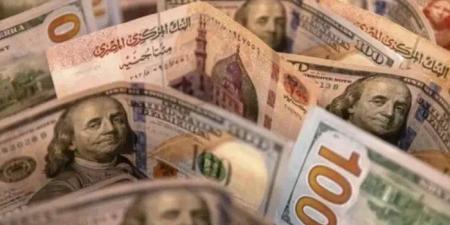 سعر الدولار مقابل الجنيه المصري اليوم الاثنين 16 ديسمبر 2024