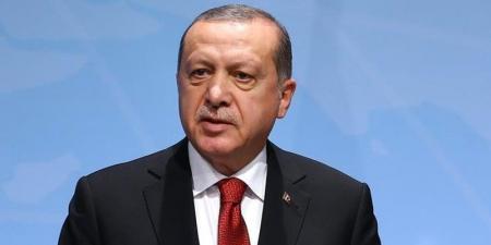 أردوغان: أشكر الرئيس السيسي على استضافة القمة الـ11 لمنظمة الدول الثماني النامية