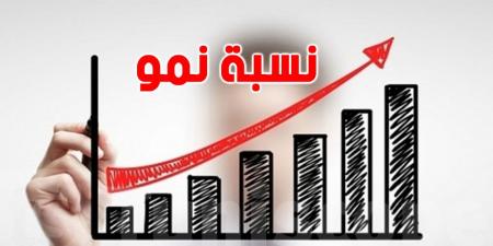 استقرار اقتصادي هش: هل نتمكن من تجاوز الأزمة وتحقيق النمو في 2025؟