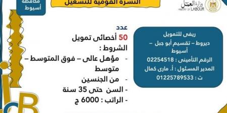 وزارة العمل تعلن عن 3215 فرصة عمل جديدة للشباب في 8 محافظات | الشروط وخطوات التقديم