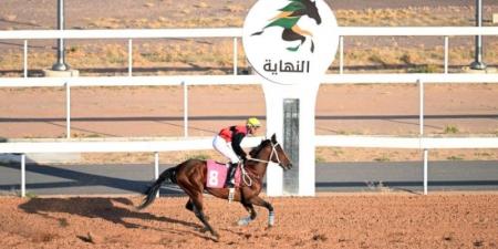 ميدان فروسية المدينة يقيم سباقه السادس للموسم الرياضي 1446هـ