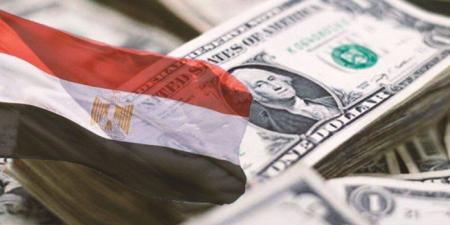 مصر تسدد 4.5 مليار دولار لشركات النفط العالمية منذ يونيو الماضي