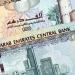 سعر الدرهم الإماراتي مقابل الجنيه المصري اليوم السبت 11 يناير 2025