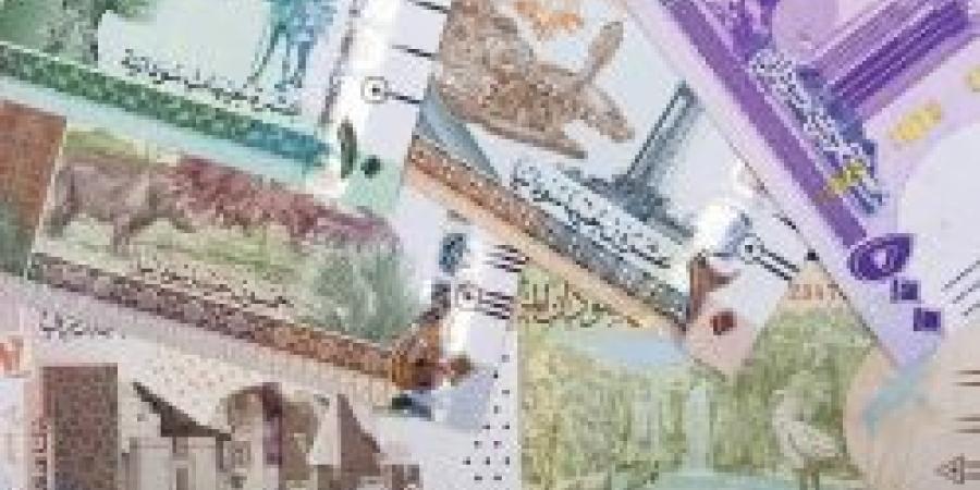 سعر الجنيه السوداني مقابل الريال السعودي اليوم الثلاثاء 3 ديسمبر 2024 .. هل انخفض بالفعل ؟