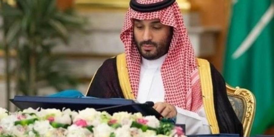 محمد بن سلمان لن يحضر قمة "بريكس" في روسيا