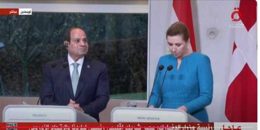 السيسي: أعرب عن تقدري لتفهم ودعم الدنمارك لمصر للحفاظ على أمنها المائي