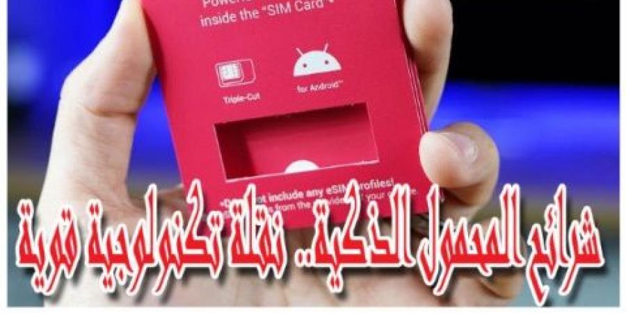 الشريحة الألكترونية وخدمات الواى فاى الجديدة.. ضمن مقومات مصر الحديثة