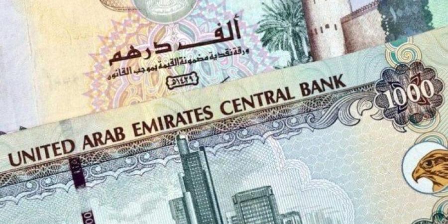 سعر الدرهم الإماراتي مقابل الجنيه المصري اليوم الأحد 15 ديسمبر 2024