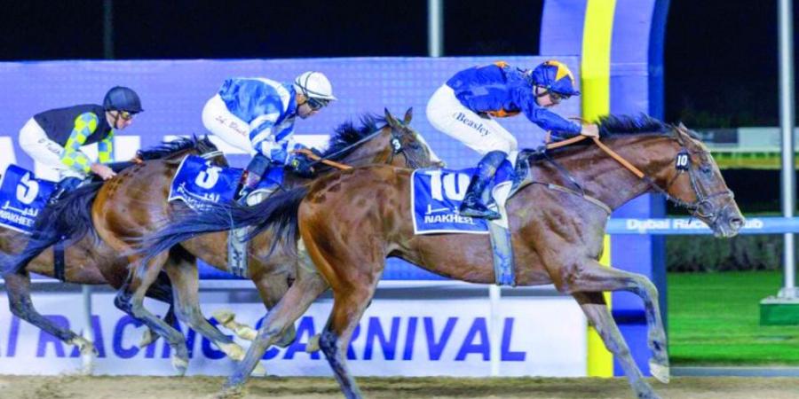 «دبي لسباق الخيل» يتلقى 300 طلب مشاركة في سباقاته