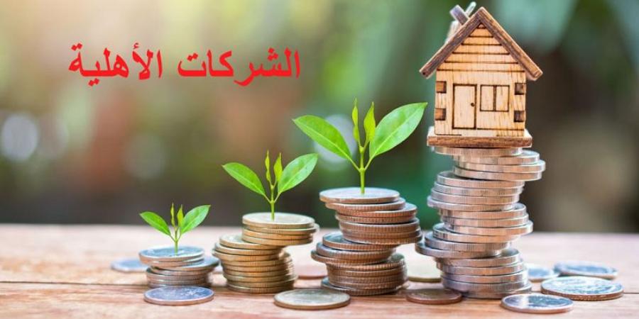 2025 ...سنة دعم الشركات الصغرى والمتوسطة والأهلية