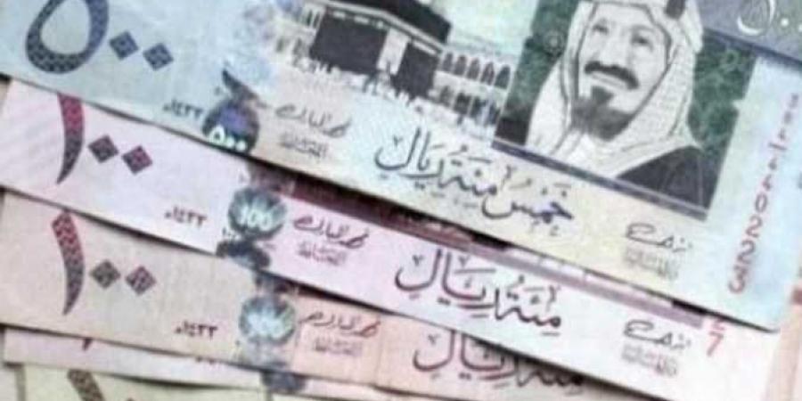 سعر الريال السعودي اليوم الجمعة 27 ديسمبر 2024 بعد قرار البنك المركزي المصري