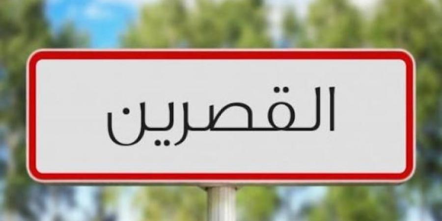 القصرين: فرع البنك التونسي للتضامن بالجهة يشرع في قبول ملفات قروض لدعم صغار الفلاحين في عمليّة جني الزّيتون (رئيس الفرع)