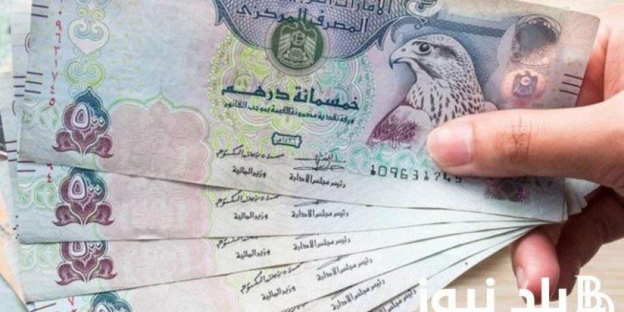 استقرار سعر الدرهم الاماراتى امام الجنية بالسوق المصرى