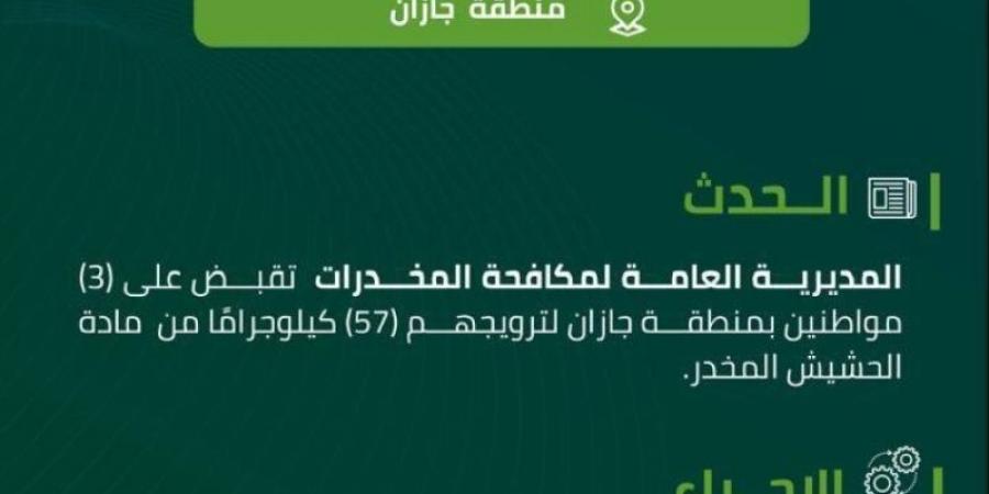 مخدرات جازان تقبض على (3) مواطنين لترويجهم (57) كيلوجرامًا من الحشيش المخدر