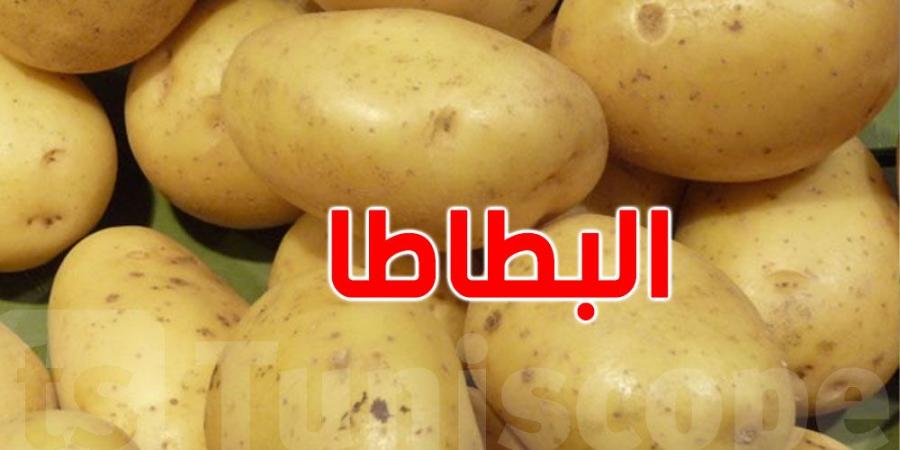 تقديرات بإنتاج 13664 طنا من البطاطا في قفصة