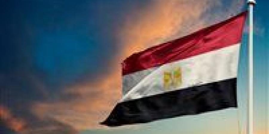 عاجل|مصر تدين الهجوم الذي استهدف القصر الرئاسي في تشاد