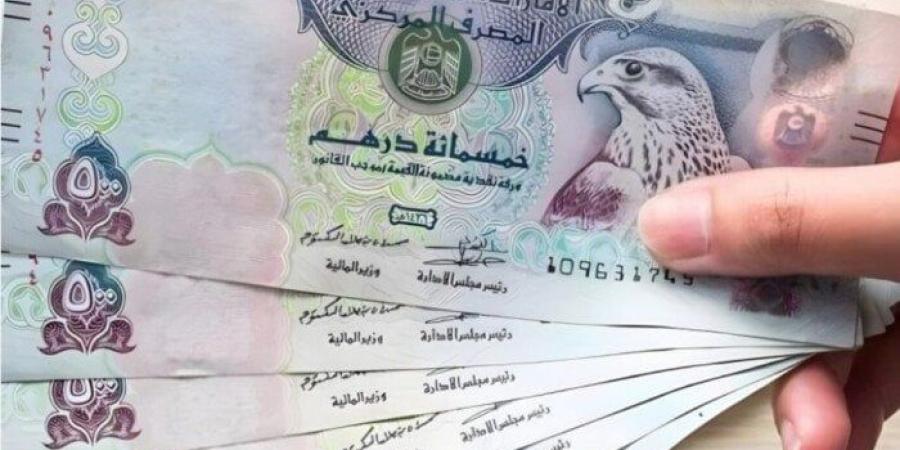 سعر الدرهم الإماراتي مقابل الجنيه المصري اليوم الأحد 12 يناير 2025