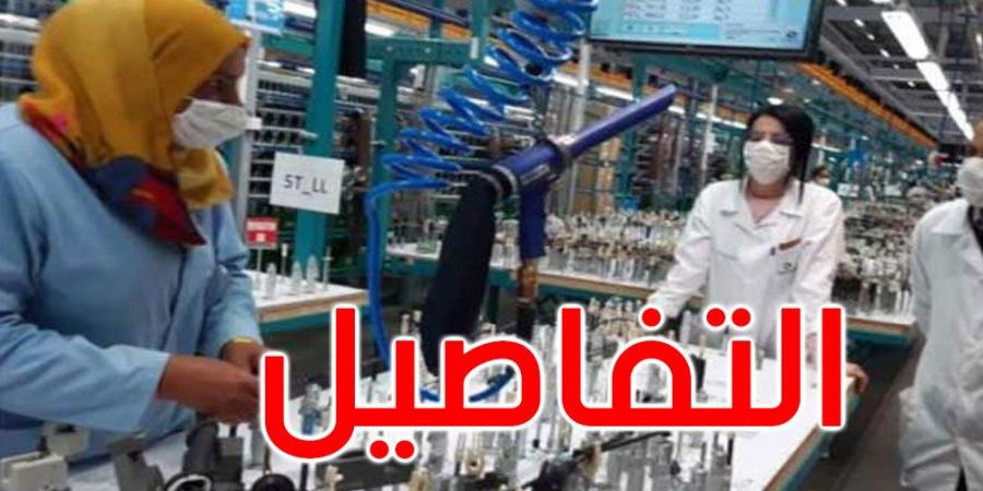 مصنع كوابل السيارات الألمانية بباجة : نحو تشغيل 8 آلاف عامل سنة 2026