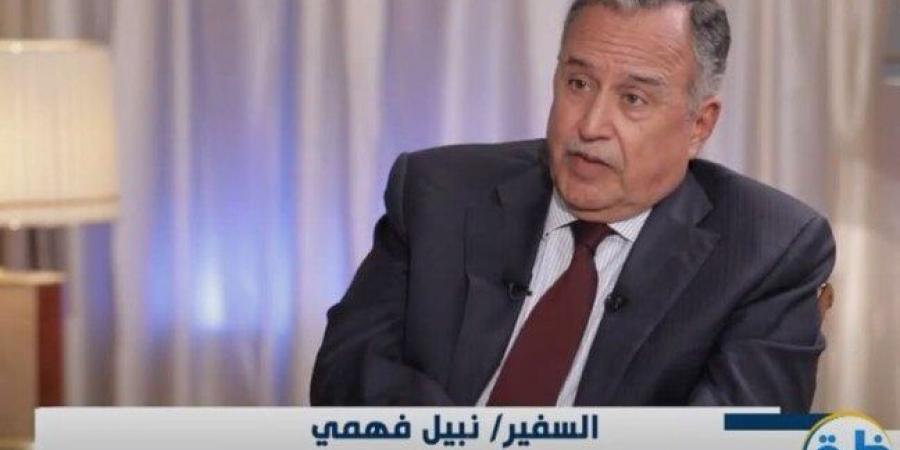 «السفير نبيل فهمي»: ترامب يريد إنهاء القضية الفلسطينية عبر حل الدولتين