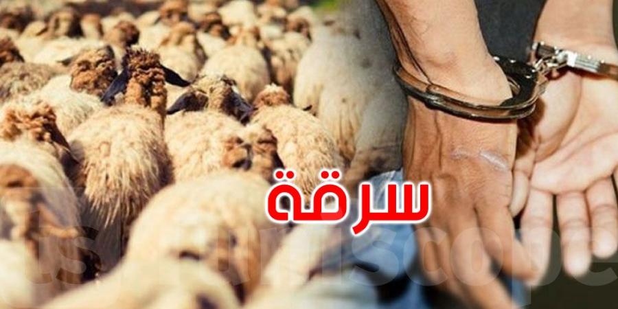 الكاف: الكشف عن عملية سرقة مواشي واسترجاع كامل القطيع