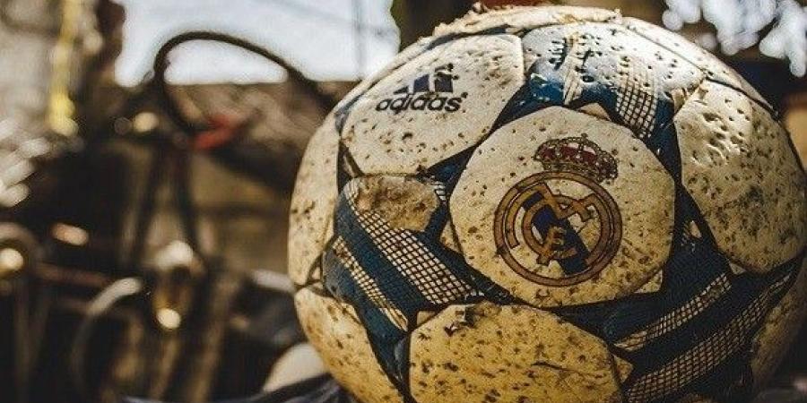 ريال مدريد يدرس الإطاحة بأحد اللاعبين بسبب ألفونسو ديفيز