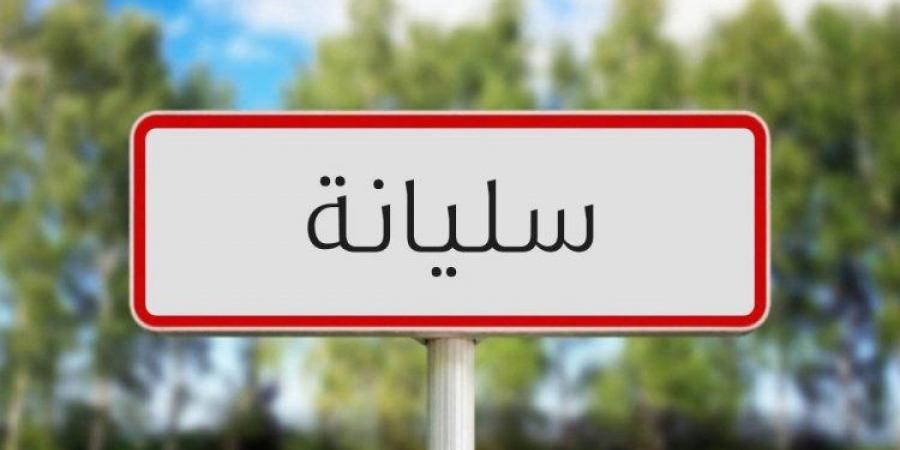 سليانة: استحثاث نسق انجاز الدراسات المتعلقة بإعداد أو مراجعة أمثلة التهيئة العمرانية