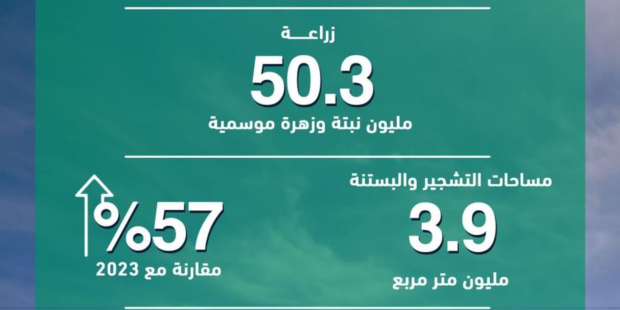 "بلدية دبي" تعزّز الإطلالة الحضارية للإمارة بزراعة 216.500 شجرة خلال 2024