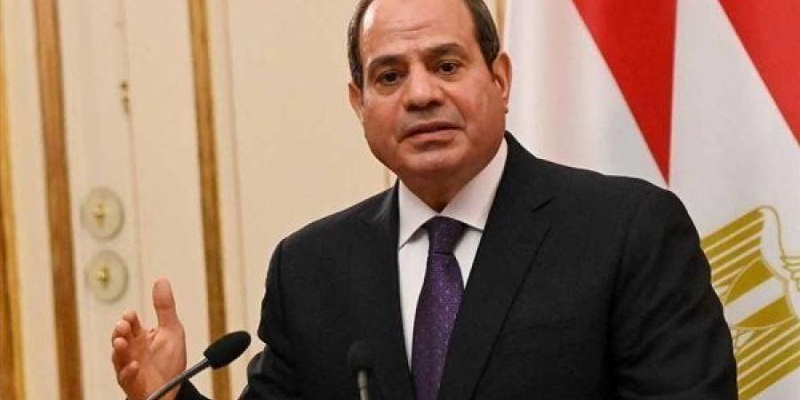 الرئيس السيسي يلتقي رئيس شركة أسبانية تعمل في بناء السفن وصيانتها